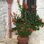 Trullo Cristi בית נופש אלברובלו