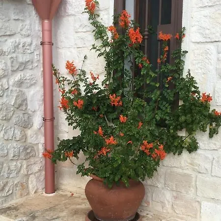 Trullo Cristi Feriehus Alberobello